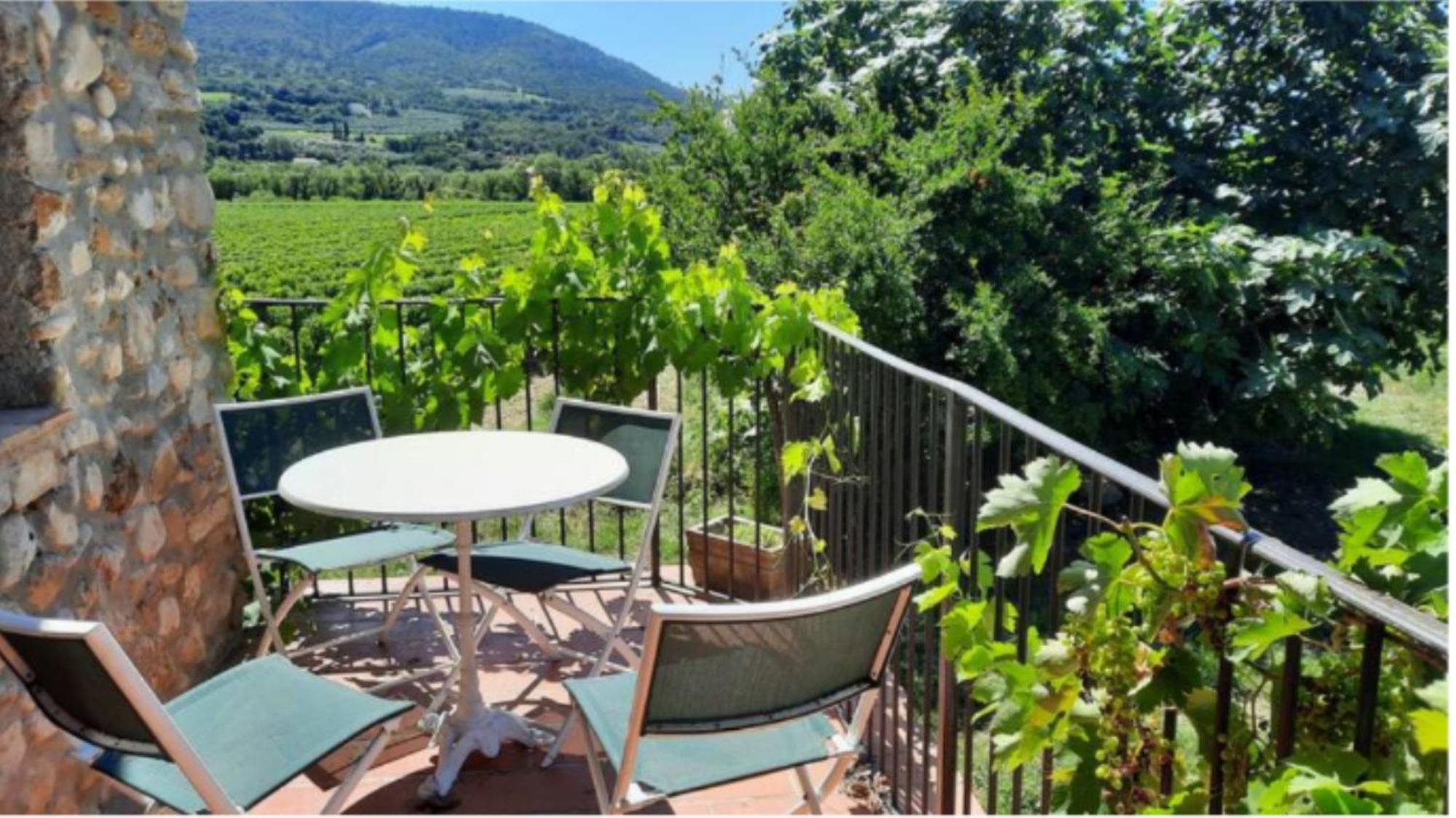 Villa L'o De Vigne, Eden In Provence